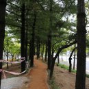 그린메디칼 이미지