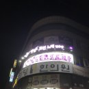 꿀 코인노래연습장 이미지