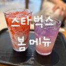 스타벅스 광주상무대교점