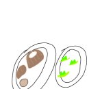 GS25진주금산점 이미지