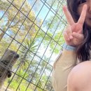 일일슈퍼 | 시드니 근교 여행 내돈내산 후기: 페더데일 동물원부터 블루마운틴, 포트스테판까지 일일투어 추천