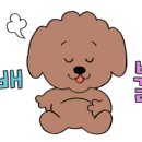 희망상회 이미지