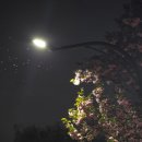 수변공원 화장실앞 이미지