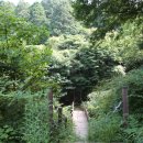 남도삼백리길(5코스) 이미지