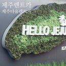 ㈜제주다움렌트카 | 제주도 렌트카 업체 추천 경차 렌트 제주다움렌터카 내돈내산 솔직 후기