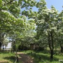 교항1리 이미지