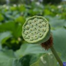 서동공원 이미지