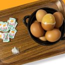 자연이좋은사람들 이미지