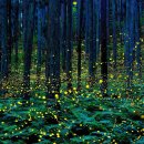 반딧불이 이미지