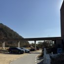 화원 | 천안 애견동반카페 에이게이트 반려견과 힐링 되는 공간