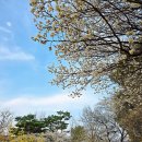 동춘당공원 이미지