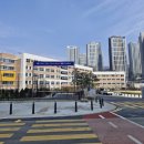 맹호합기도장 이미지