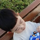 레오랜드 | [에버랜드 로스트밸리] 35개월 아이와 사파리 기린, 코뿔소 보러 다녀왔어요