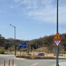 죽녹원 | [담양 여행] 전남 담양 랜드마크 죽녹원 방문 후기