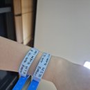 앙즈로여성병원 | 34주 이른둥이 쌍둥이 앙즈로 여성병원 출산후기 (+순천향대 니큐)