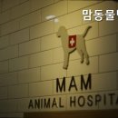맘동물병원 | 수원 이의동 동몰병원 맘동물병원 편안한 동물병원