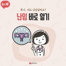 중격자궁, 난임유발 대표적 선천성 자궁 기형 진단과 치료방법