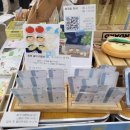 코리아 | 2026 대구 일러스트코리아 후기 2편