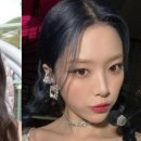 비비정지 이미지