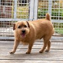 동미농장 이미지