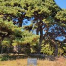 노치경로당 이미지