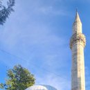 카라인1978 이미지