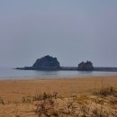 능안말2길 11 (1) | 태안 꽃지해수욕장 도보 펜션 씨사이드펜션 후기 바베큐 가능한 가성비 숙소 내돈내산 솔직 후기