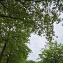 인천부현초 이미지