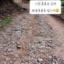 홍천 캠핑장 홍천도새울캠핑장 후기