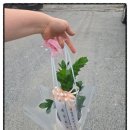 대우부동산중개사무소 이미지