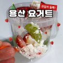 코하프루트&요거트 | [용산 요거트 맛집] '코하 용산점' 토핑 추천 : 산타베리 + 코래빗 모험 맛 후기