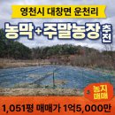솔라공인중개사사무소 이미지