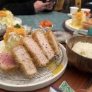 카츠소라