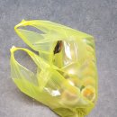 소연김밥장기점