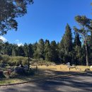 경명공원내야외화장실 | 마우이 할레아칼라 캠핑장 호즈머 그로브 캠프그라운드 Hosmer Grove Campground 2박 3일 캠핑 후기