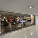 이지 스트랭스 | 탄현 헬스 짐박스 일일권 헬스장 내돈내산 후기