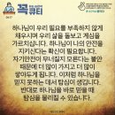 콩깍지 이미지