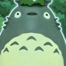 사계절복코다리 이미지