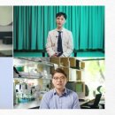 국제정원석 이미지