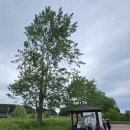 화진포둘레길(원당리) 이미지