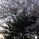 한경행정사사무소 이미지