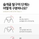태안 동물병원 네이버블로그