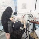 희망수정소(축산컨설팅) | 취업 잘되는 학과 반려동물학과가 주목받는 이유와 취업 전망