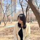 24년 상반기 일상모음