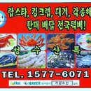 킹크랩가격/6월2일~ 살아있는 킹크랩 판매가격 1키로당 42,000원/킹크랩 싸게파는곳,인천 연안부두 거성수산. 이미지