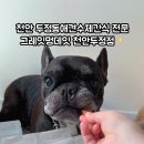 그레잇멍데잇 이미지