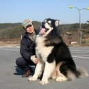태산 이미지