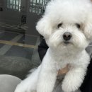 뽀그리멍 이미지