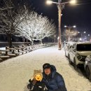 산천어낚시 | 산천어축제 2026 아이랑 산천어낚시 다녀온 후기