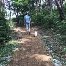 율하2지구_모산공원운동장2 네이버블로그